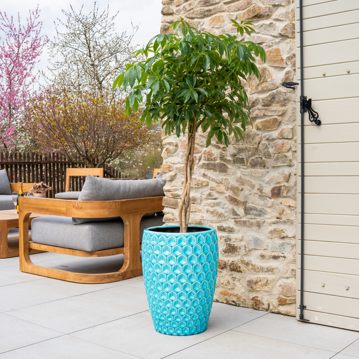 Pot Versailles décoratif 38x54 cm turquoise en terre cuite émaillée, avec arbuste sur terrasse