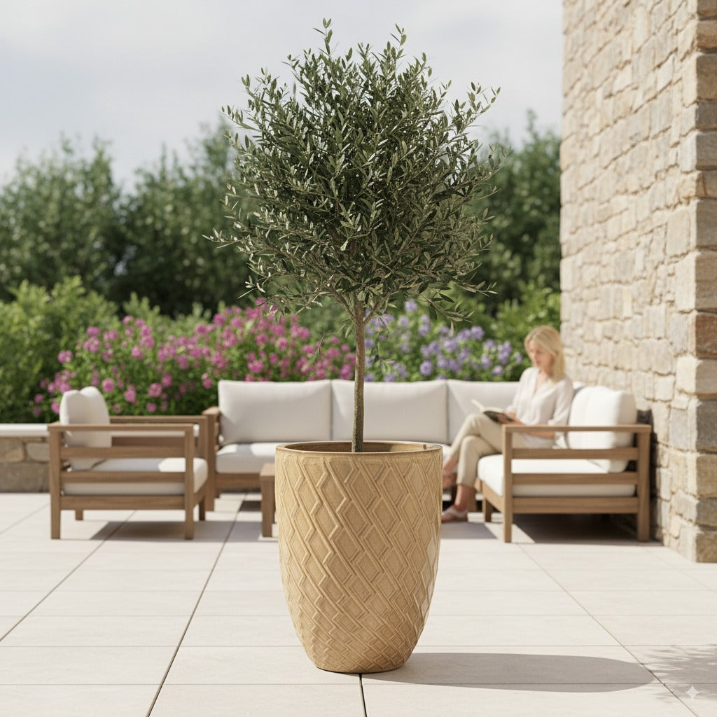 Pot Zeus décoratif 41x55 cm bronze sablé en terre cuite émaillée, avec olivier sur une terrasse