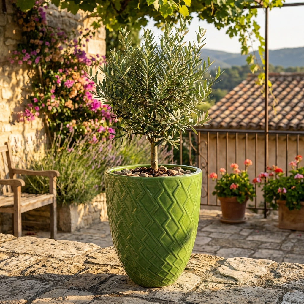 Vaso Zeus decorativo Verde mela in ceramica smaltata, con ulivo su terrazza