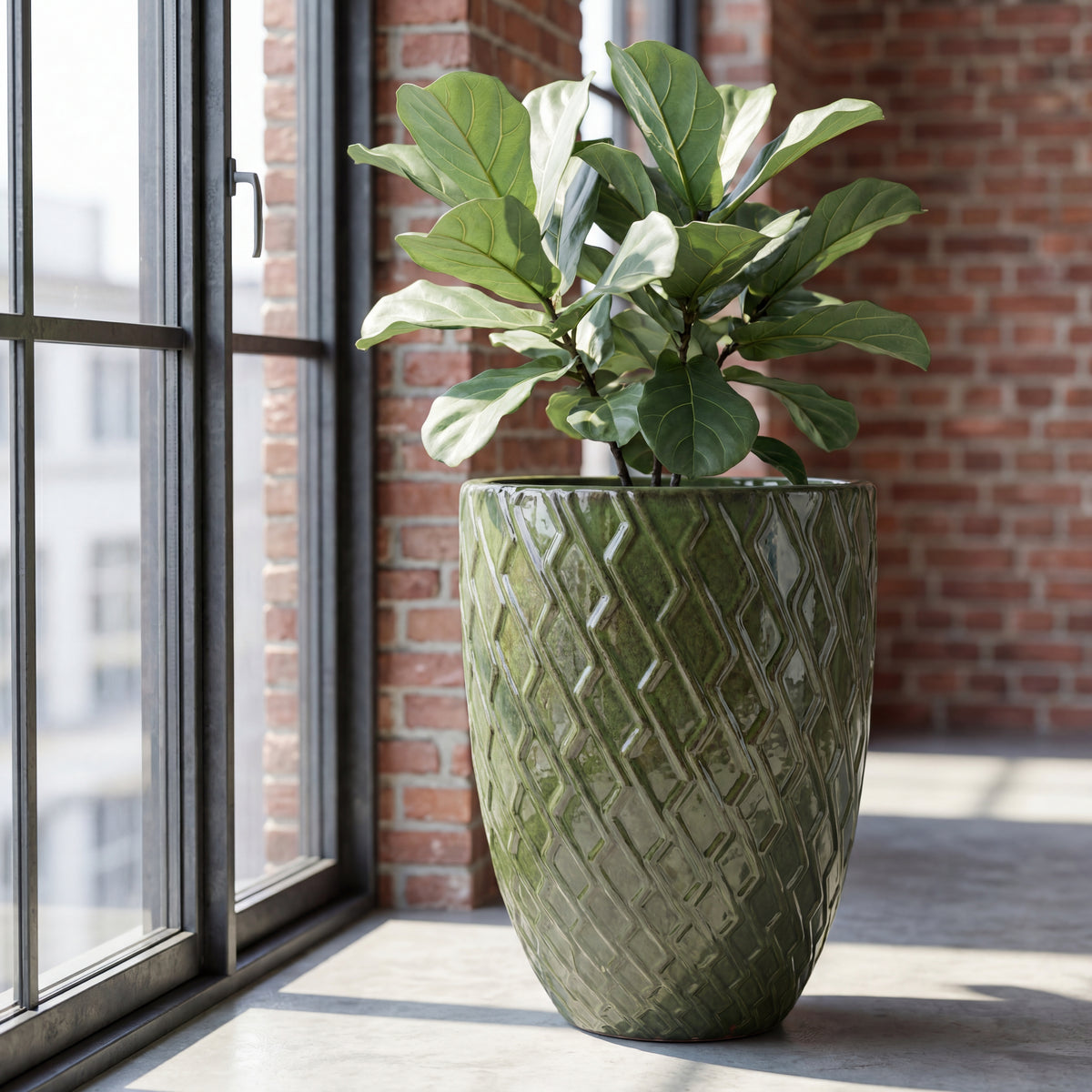 Macetero Zeus Verde intenso de cerámica esmaltada, con un ficus junto a una ventana