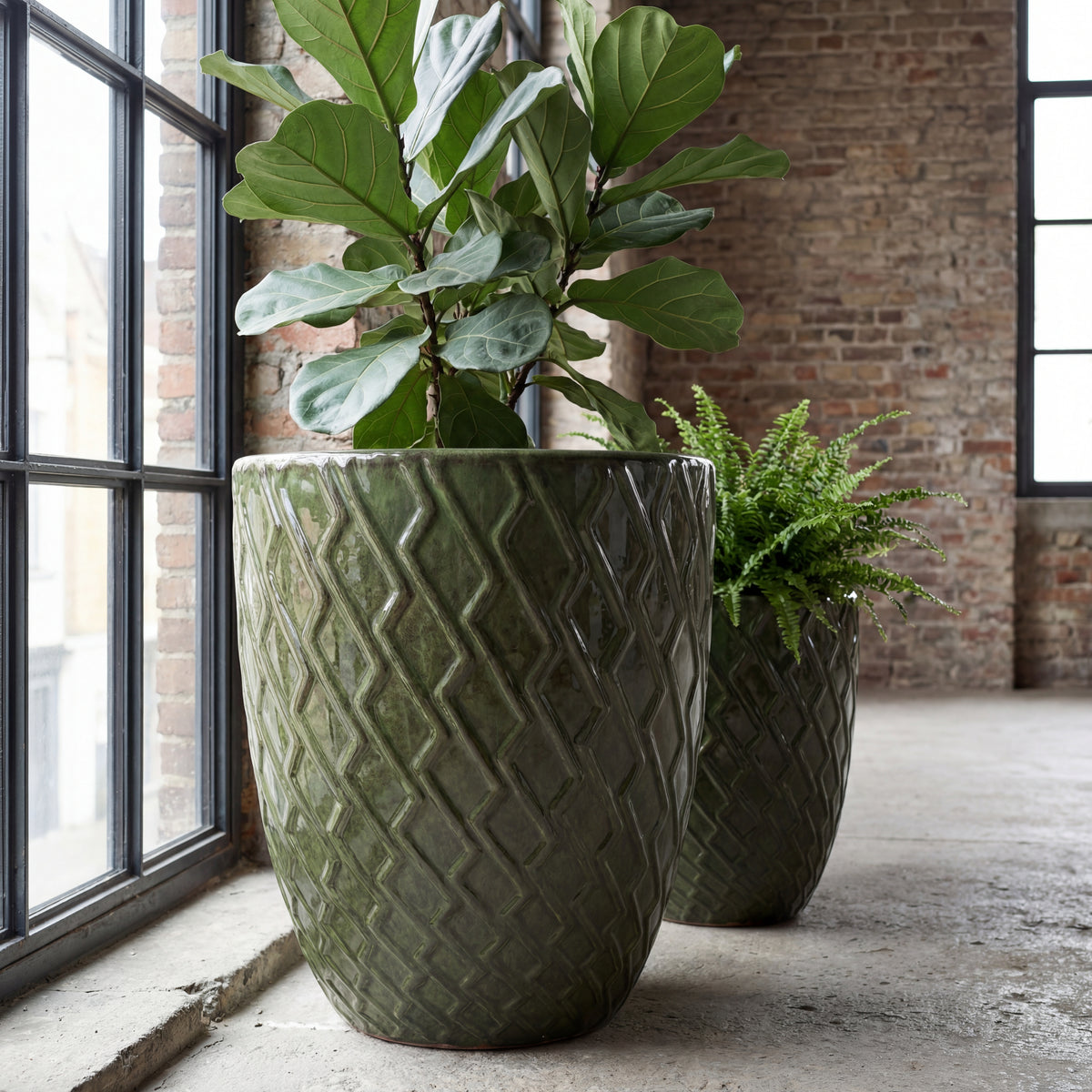Plantenbak Zeus Diepgroen van geglazuurd keramiek, met ficus en varen binnen